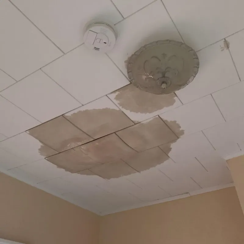Ceiling Water Damage Repair in Benicia, CA